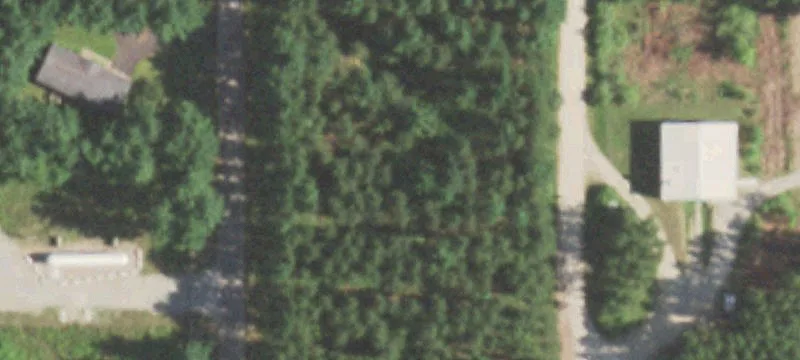 Wild Rose, WI 54984