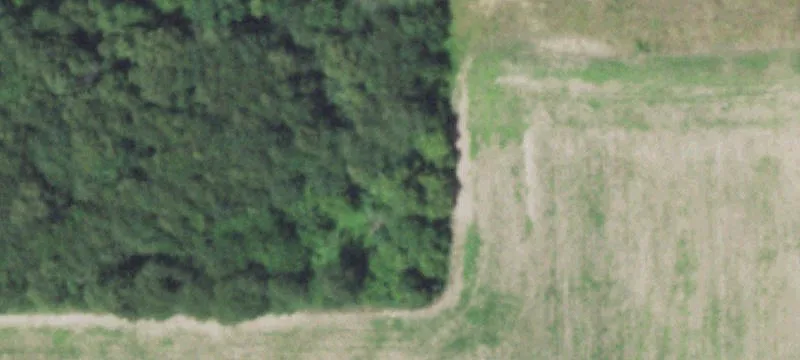 Luck, WI 54853