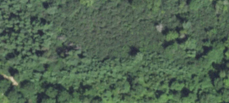 Tomahawk, WI 54487