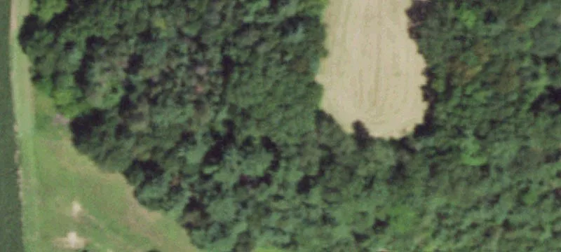 10116th State Rd 33