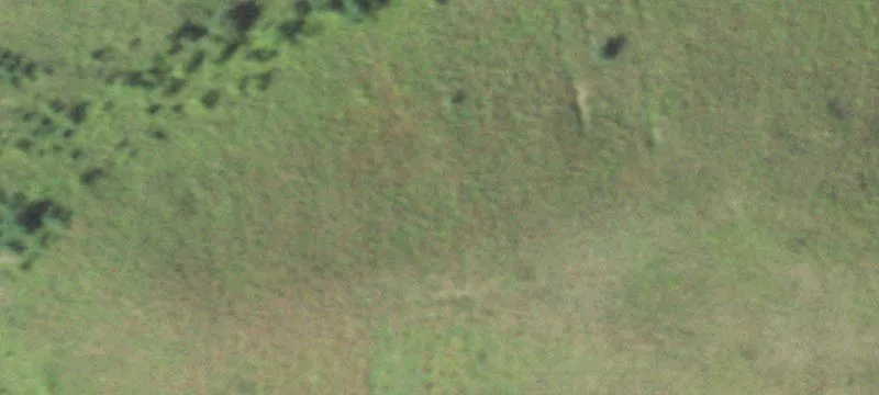 Tomah, WI 54660