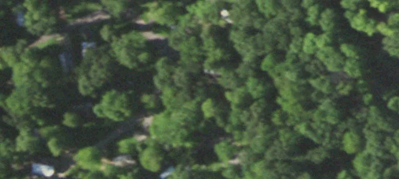 12995th Halweg Rd