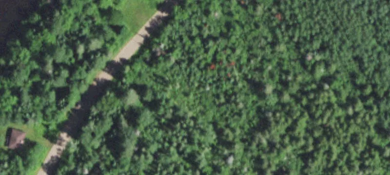  Park