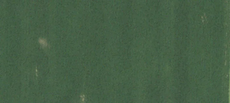 Granton, WI 54436