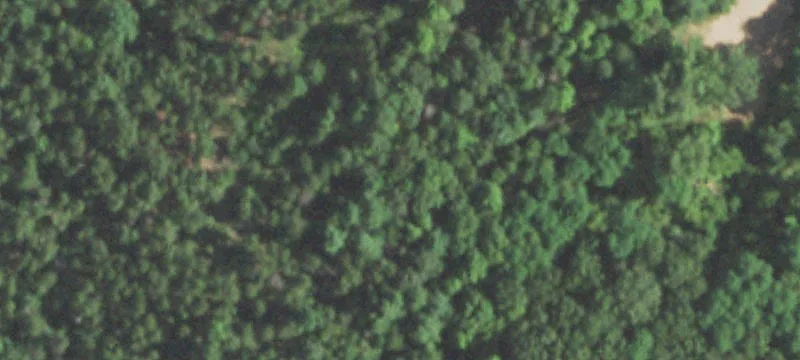 Wild Rose, WI 54984