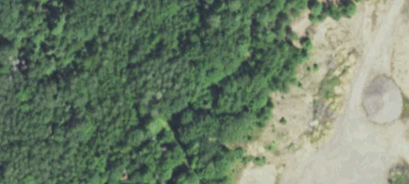 Conover, WI 54519