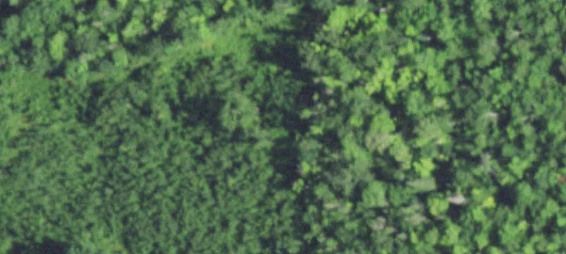 Mason, WI 54856