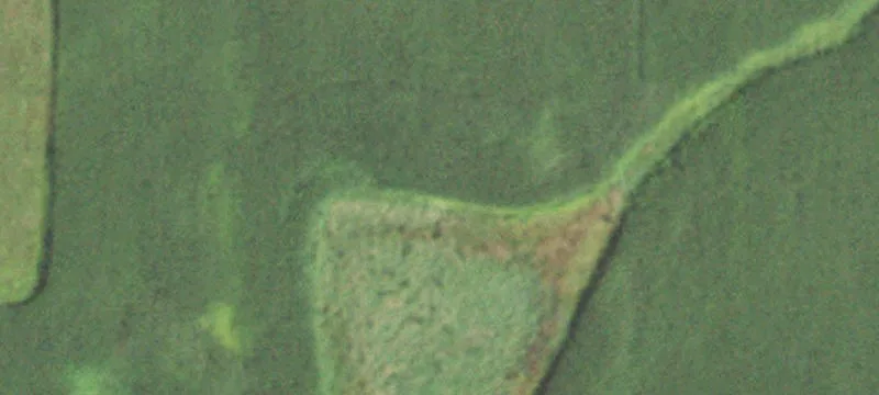 Cadott, WI 54727