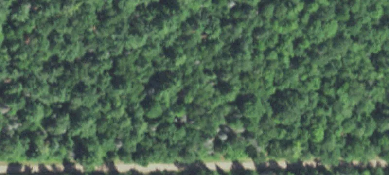 5990 Us Hwy 45