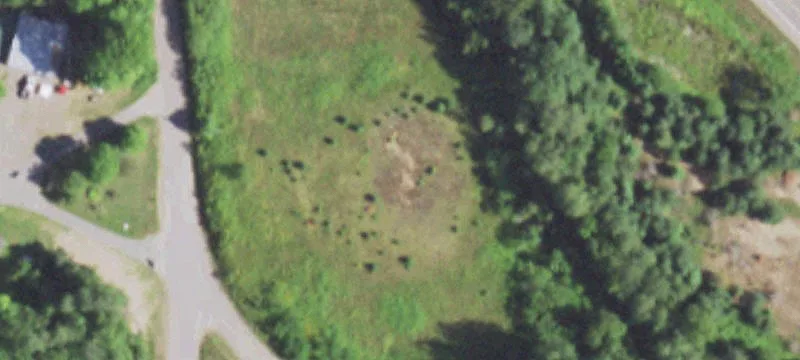 Gleason, WI 54435