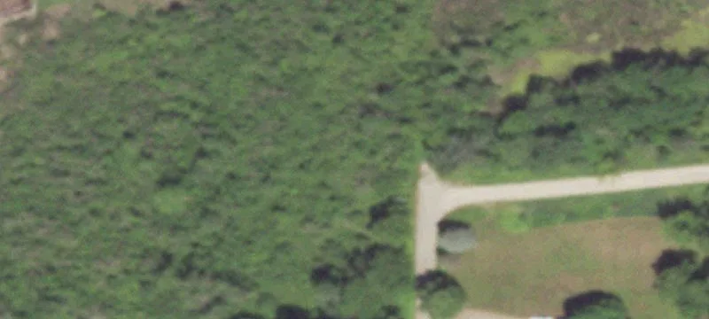 Marion, WI 54950