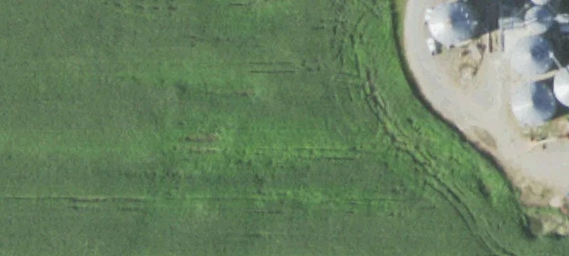 Auburndale, WI 54412