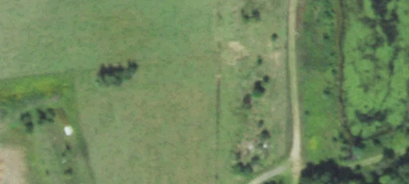 Stevens Point, WI 54482
