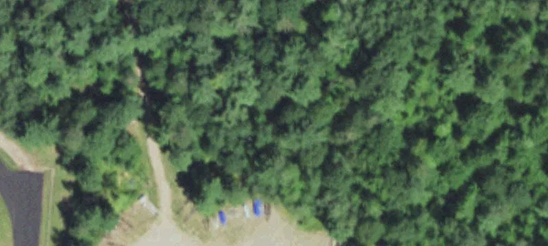 11037 Old Hwy 51st Rd