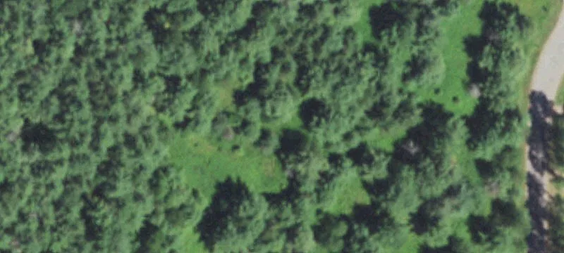 Arbor Vitae, WI 54568