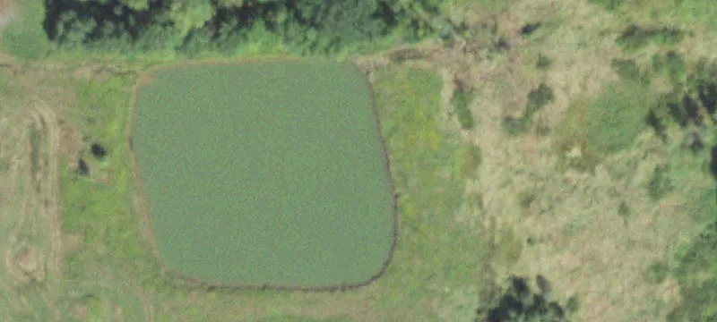 Owen, WI 54460