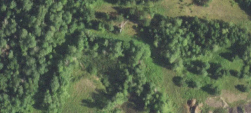 Prentice, WI 54556