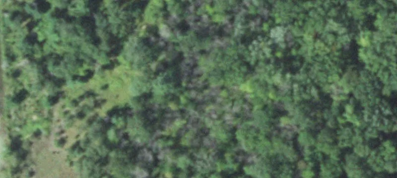 Neillsville, WI 54456