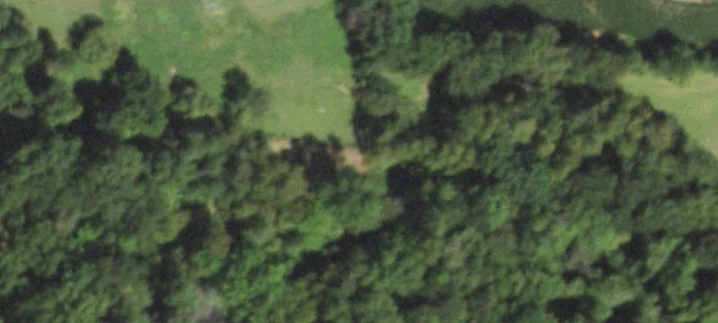 3555th Thomas Rd