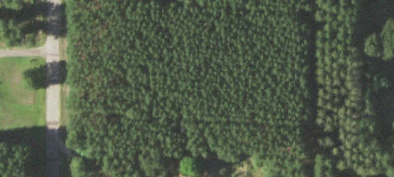 Necedah, WI 54646