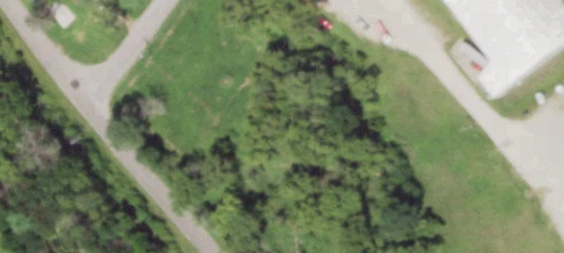 1003 Wood Ave