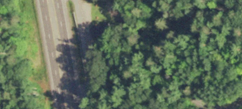 Hazelhurst, WI 54531
