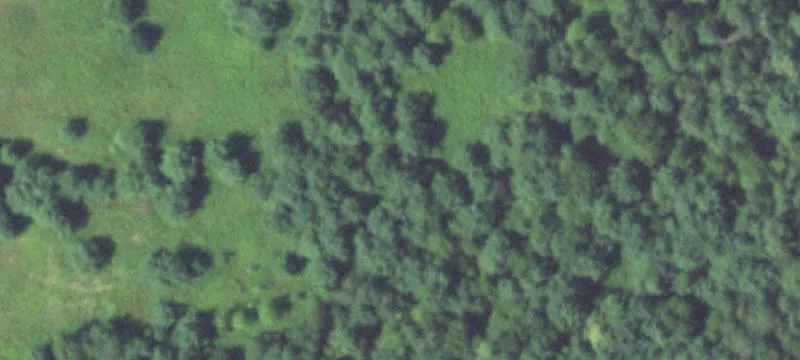 Turtle Lake, WI 54889