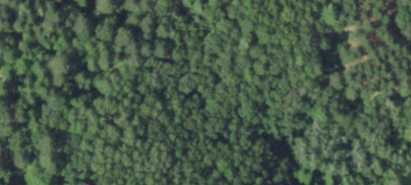 12409th Misty Bog Rd