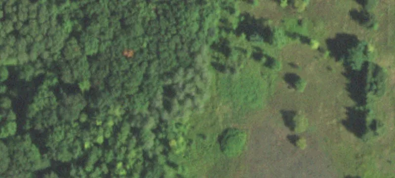 Rice Lake, WI 54868