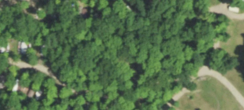 Pearson, WI 54462