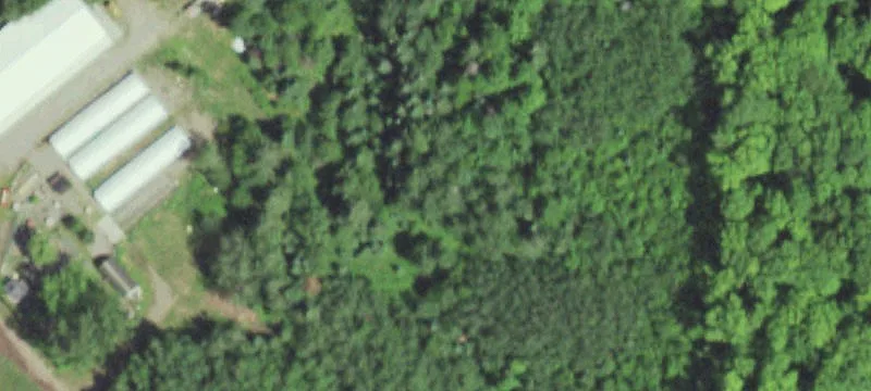 Mercer, WI 54547