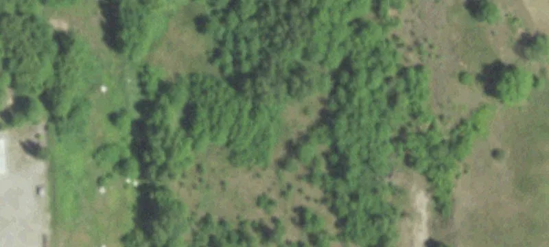 Weyauwega, WI 54983