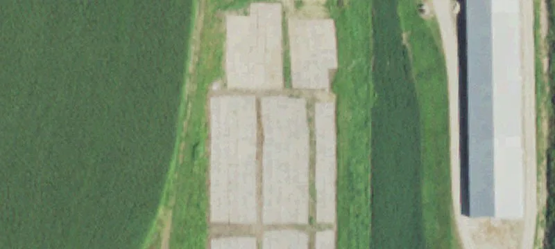 Dodge, WI 54625