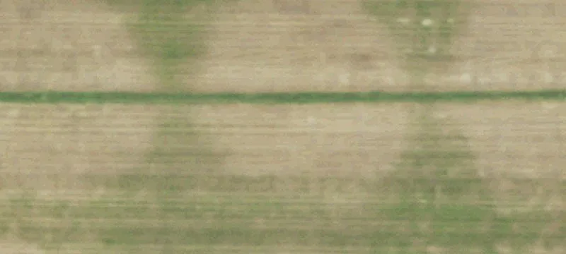Markesan, WI 53946