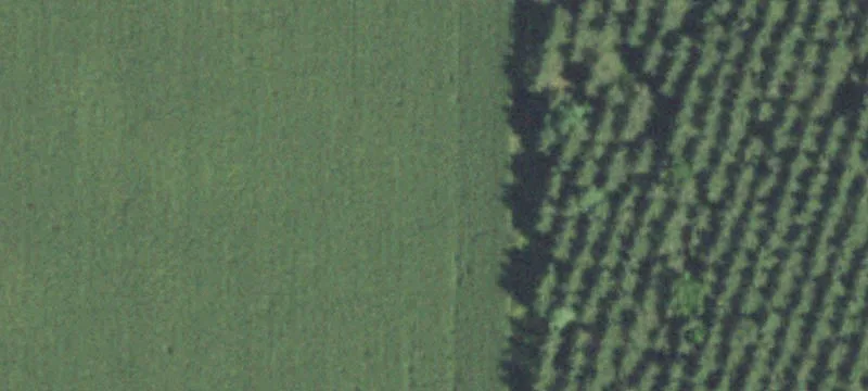 Osseo, WI 54758