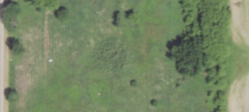 New London, WI 54961