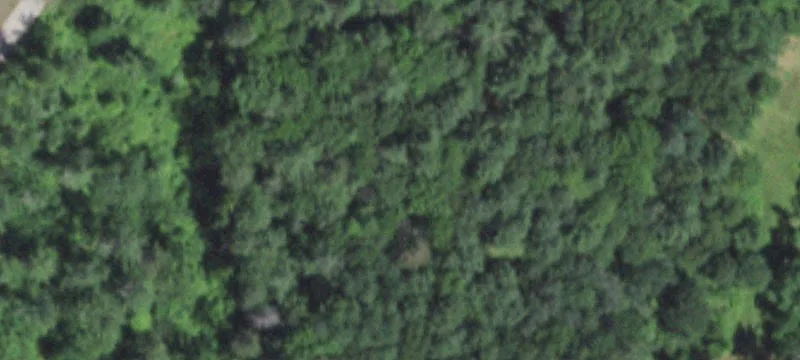 4897th Woodpecker Rd