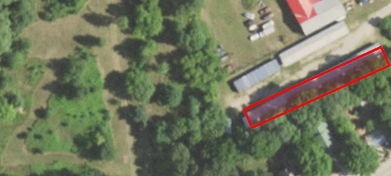 Wild Rose, WI 54984