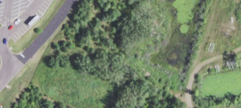 15650 State Rd 77