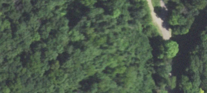 Eastman, WI 54626
