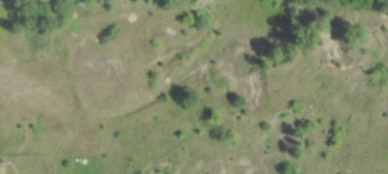 Weyauwega, WI 54983