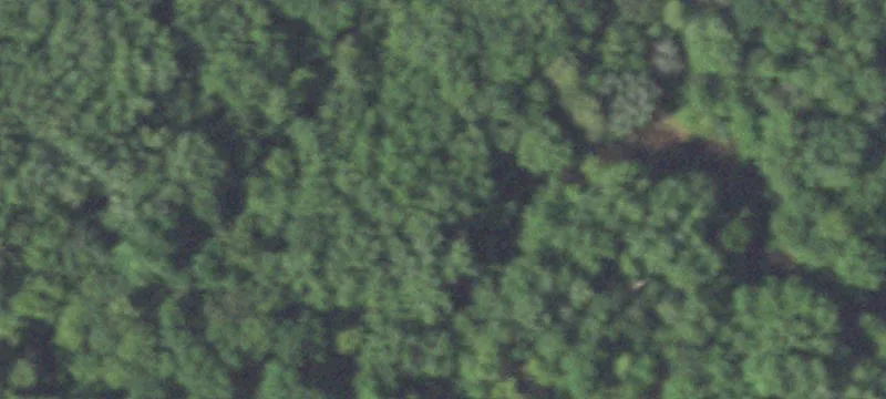 Boyceville, WI 54725