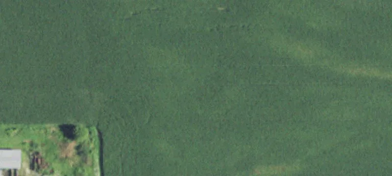 Independence, WI 54747