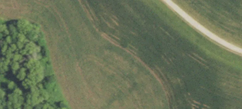 9943 Vlg Rd