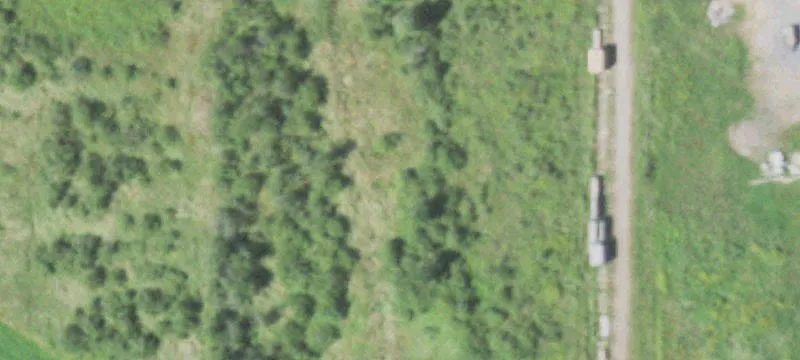 Withee, WI 54498