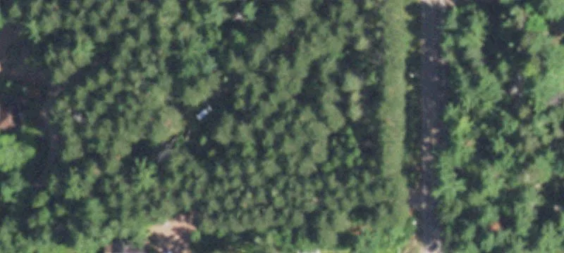 Star Lake, WI 54561