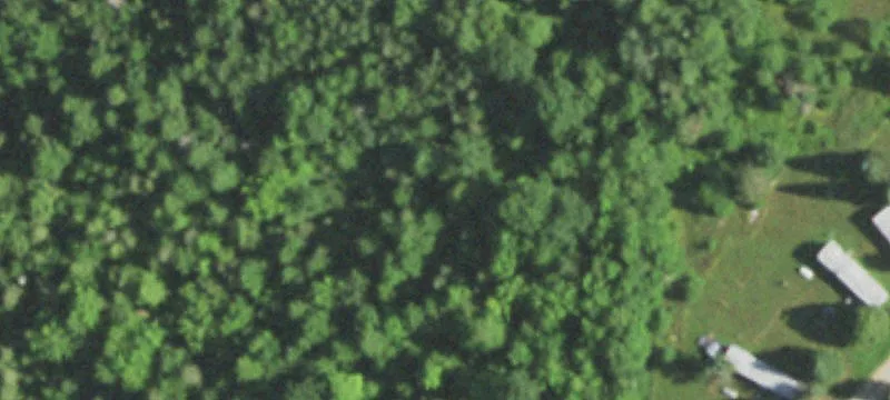Pelican Lake, WI 54463