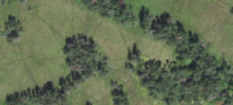 New Lisbon, WI 53950