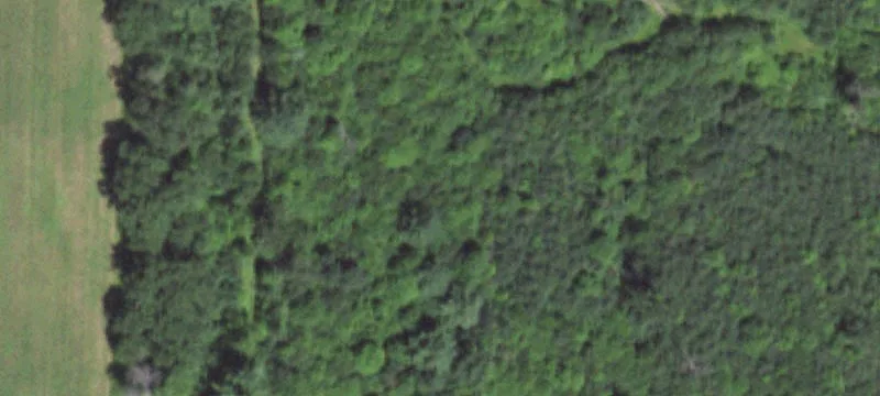 Wisconsin Rapids, WI 54495