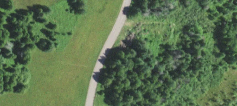 83584 Creamery Rd